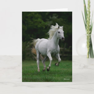 Bob Langrish   Grey Arab Running Mane Flowing Card