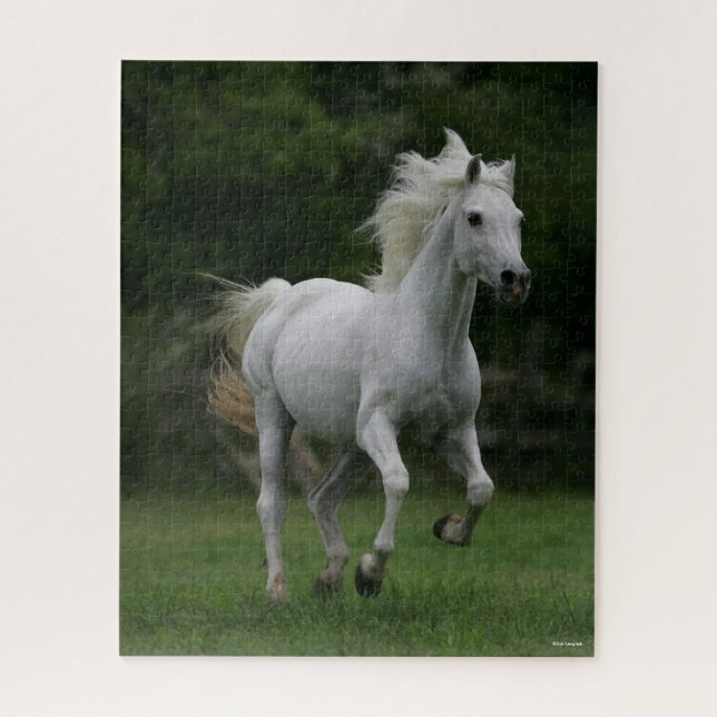 Bob Langrish | Grey Arab Running Mane Flowing Jigsaw Puzzle (Vertical)
