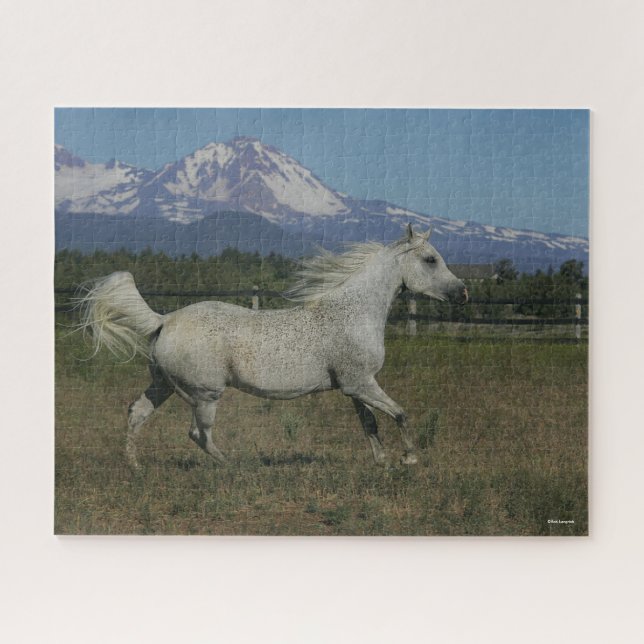 Bob Langrish Grey Arab Running Mountain Background Jigsaw Puzzle (Horizontal)
