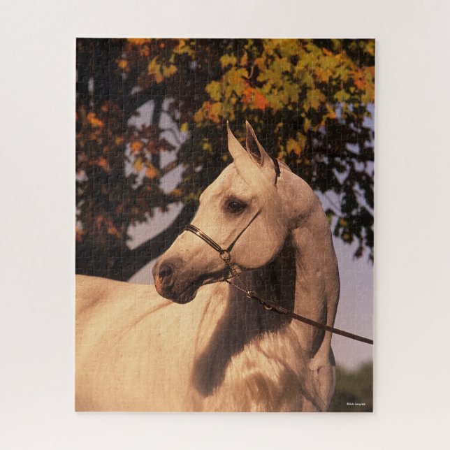 Bob Langrish | Grey Arab Stallion Headshot 4 Jigsaw Puzzle (Vertical)