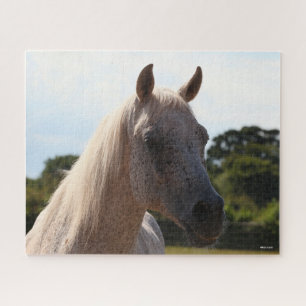 Bob Langrish Grey Arab Stallion Headshot Backlit Jigsaw Puzzle