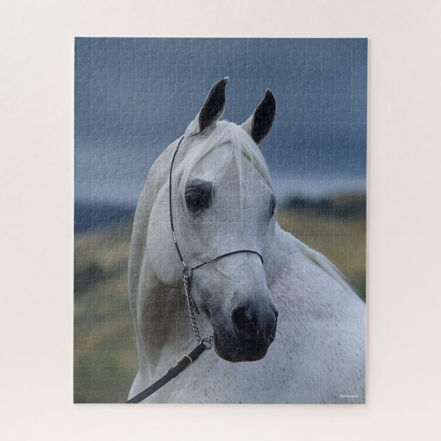 Bob Langrish | Grey Arab Stallion Headshot Jigsaw Puzzle (Vertical)