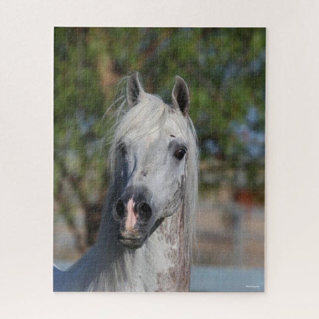 Bob Langrish | Grey Arab Stallion Headshot Jigsaw Puzzle (Vertical)