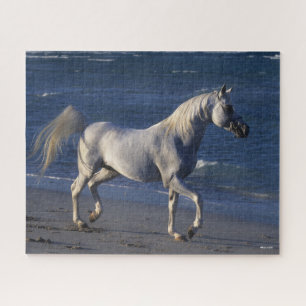 Bob Langrish Grey Arab Stallion Walking On Beach Jigsaw Puzzle