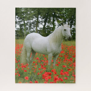 Bob Langrish Grey Arab standing In Red Flowers Jigsaw Puzzle