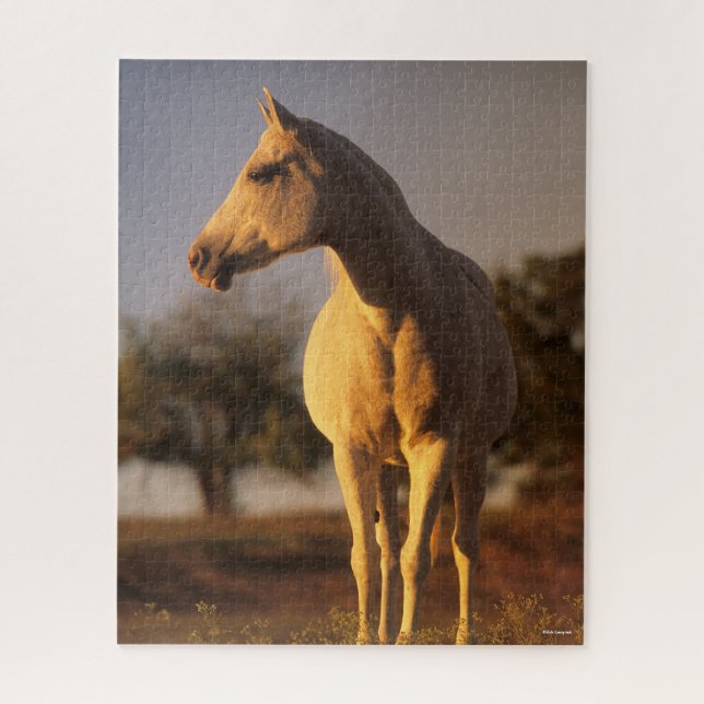 Bob Langrish | Grey Arab Standing Jigsaw Puzzle (Vertical)