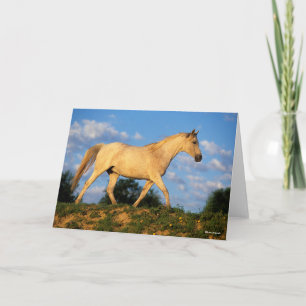 Bob Langrish   Grey Arab Walking Card