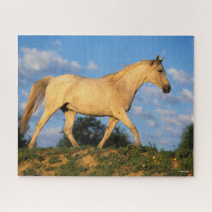 Bob Langrish Grey Arab Walking Jigsaw Puzzle