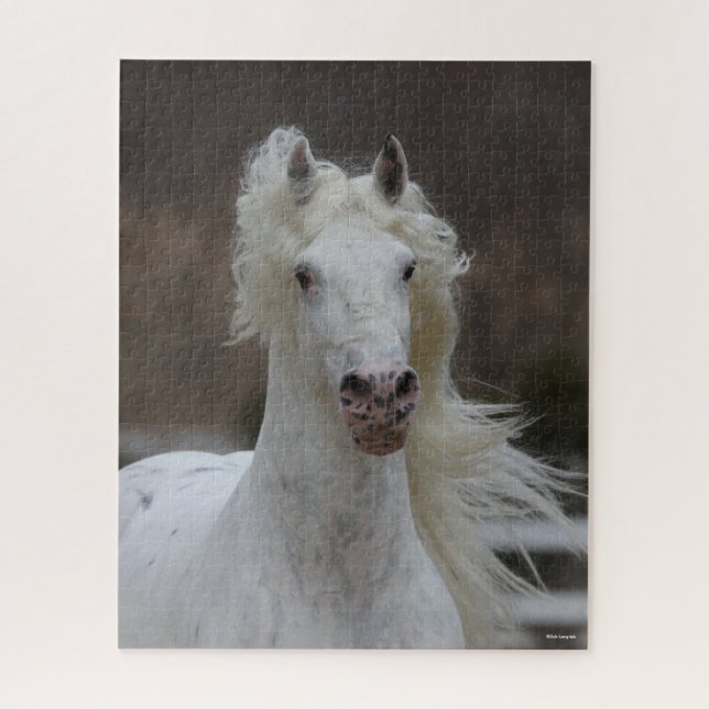 Bob Langrish | Grey Friesian Appaloosa headshot Jigsaw Puzzle (Vertical)