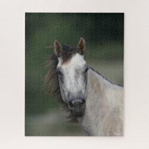 Bob Langrish   Grey Quarter Horse headshot Jigsaw Puzzle