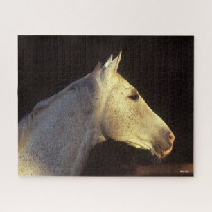 Bob Langrish Grey Thoroughbred Stallion Headshot Jigsaw Puzzle