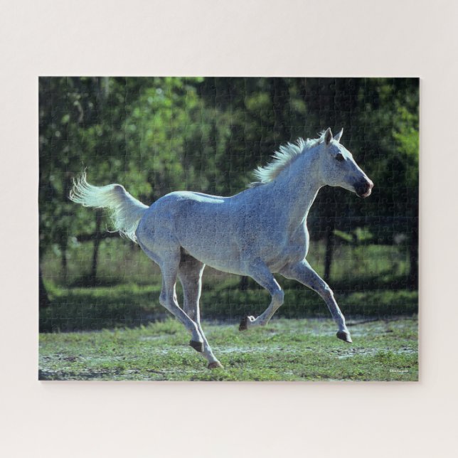 Bob Langrish | Grey Thoroughbred Stallion Running Jigsaw Puzzle (Horizontal)