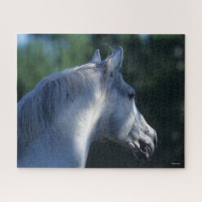 Bob Langrish | Grey Trakehner Stallion Headshot Jigsaw Puzzle (Horizontal)