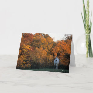 Bob Langrish Grey Warmblood Horse Standing Autumn Card