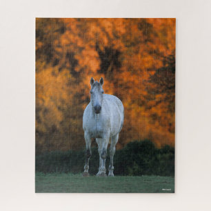 Bob Langrish Grey Warmblood Standing Autumn Jigsaw Puzzle