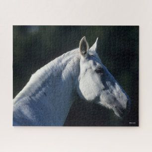 Bob Langrish Grey Warmblood Standing Headshot Jigsaw Puzzle