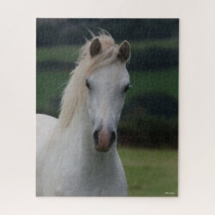 Bob Langrish Grey Welsh Pony Headshot Jigsaw Puzzle