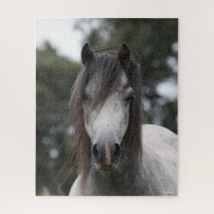 Bob Langrish Grey Welsh Pony Headshot Jigsaw Puzzle