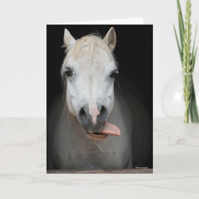 Bob Langrish | Grey Welsh Pony With Tongue Out Card (Front)