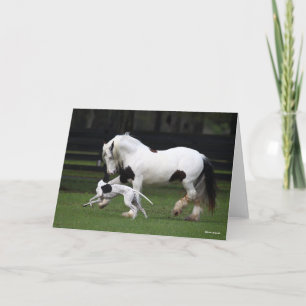 Bob Langrish Gypsy Vanner and Dog Running Together Card