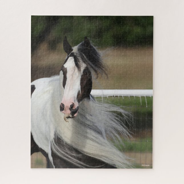 Bob Langrish | Gypsy Vanner Headshot Mane Flowing Jigsaw Puzzle (Vertical)