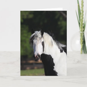 Bob Langrish   Gypsy Vanner Horse Headshot Card