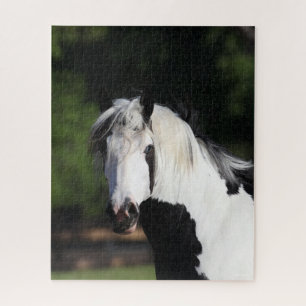 Bob Langrish   Gypsy Vanner Horse Headshot Jigsaw Puzzle