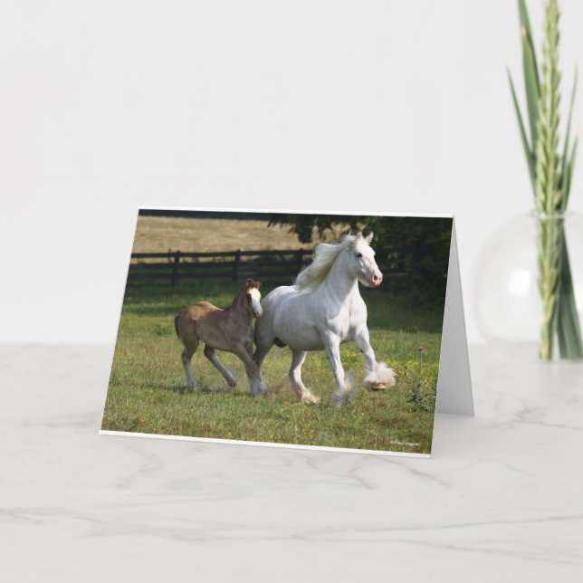 Bob Langrish | Gypsy Vanner Horse Mare & Foal Card (Front)