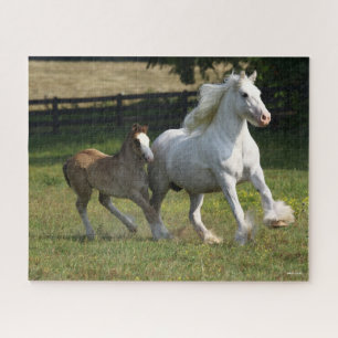 Bob Langrish   Gypsy Vanner Horse Mare & Foal Jigsaw Puzzle