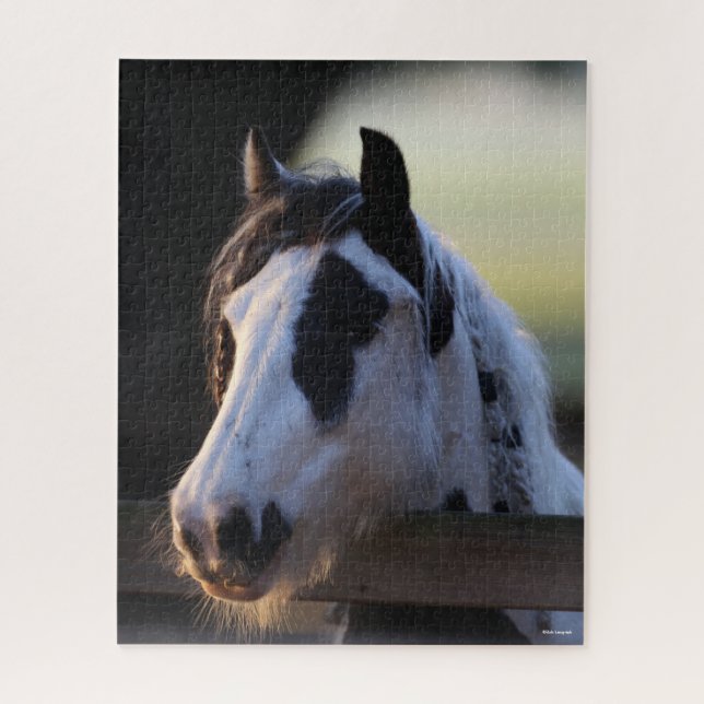 Bob Langrish | Gypsy Vanner looking Over Fence Jigsaw Puzzle (Vertical)