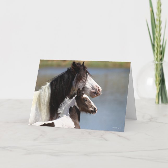 Bob Langrish | Gypsy Vanner Mare and Foal Headshot Card (Front)