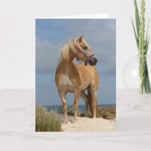 Bob Langrish   Haflinger Standing On Beach Card
