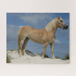 Bob Langrish Haflinger Standing On The Beach Jigsaw Puzzle