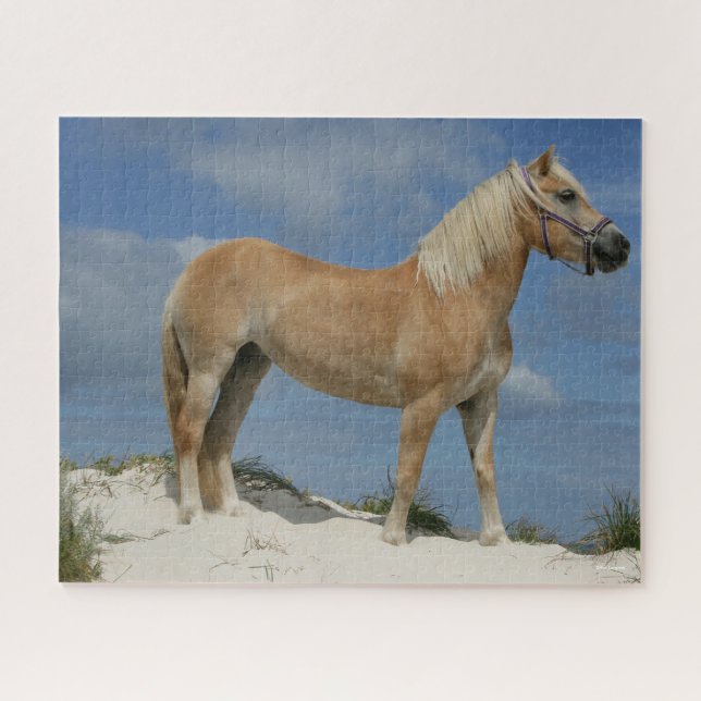 Bob Langrish | Haflinger Standing On The Beach Jigsaw Puzzle (Horizontal)