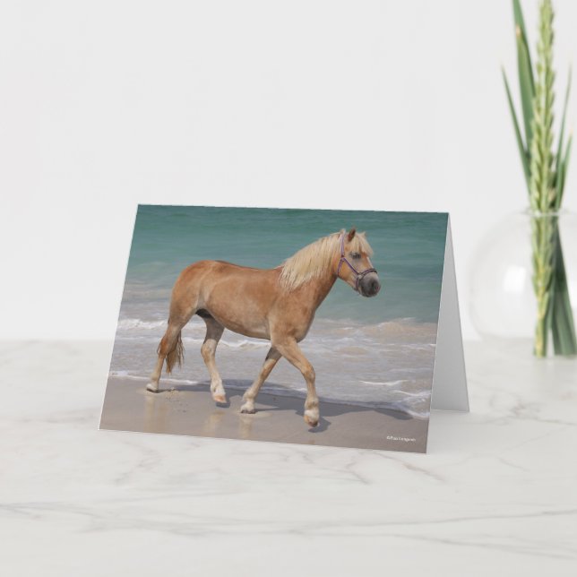 Bob Langrish | Haflinger Walking On The Beach Card (Front)