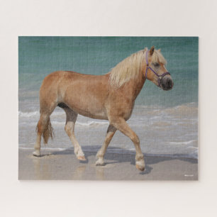 Bob Langrish Haflinger Walking On The Beach Jigsaw Puzzle
