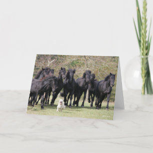 Bob Langrish   Herd Black Meren Horses and Dog Card
