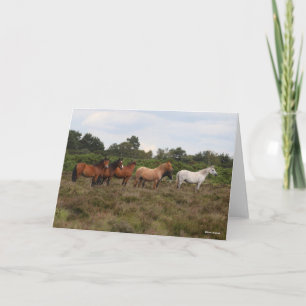 Bob Langrish   Herd New Forest Ponies Standing Card
