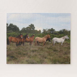 Bob Langrish Herd New Forest Ponies Standing Jigsaw Puzzle
