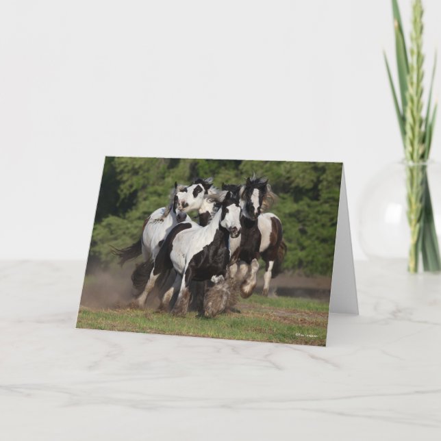 Bob Langrish | Herd Of Gypsy Vanner Horses Running Card (Front)