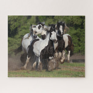 Bob Langrish   Herd Of Gypsy Vanner Horses Running Jigsaw Puzzle
