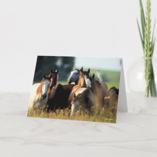 Bob Langrish   Herd Of Horses Standing With Birds Card