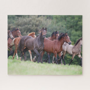 Bob Langrish Herd of Welsh Ponies In Field Jigsaw Puzzle