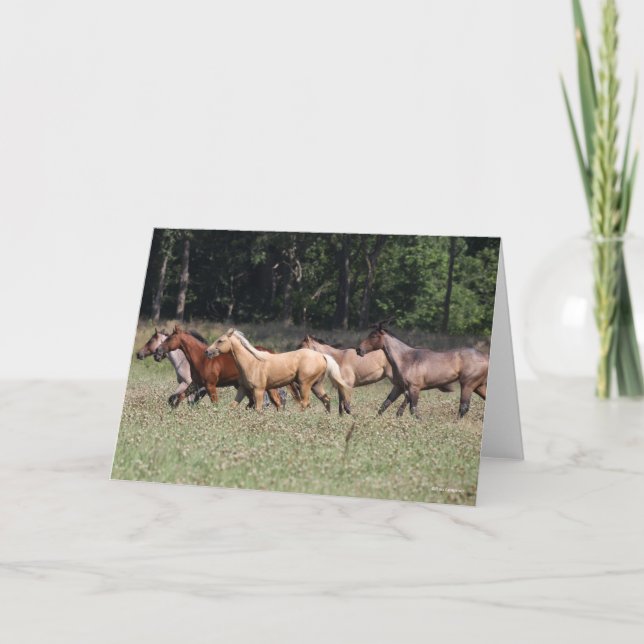 Bob Langrish | Herd Quarter Horses Walking Card (Front)