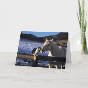 Bob Langrish   Horse and Cat In the Snow Card