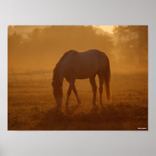 Bob Langrish   Horse Grazing Sunrise Poster