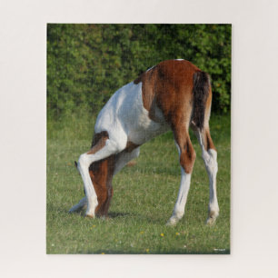 Bob Langrish Irish Sport Horse Foal Grazing Jigsaw Puzzle
