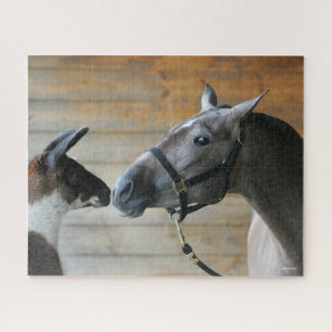 Bob Langrish Llama and Andalucian Meeting Headshot Jigsaw Puzzle