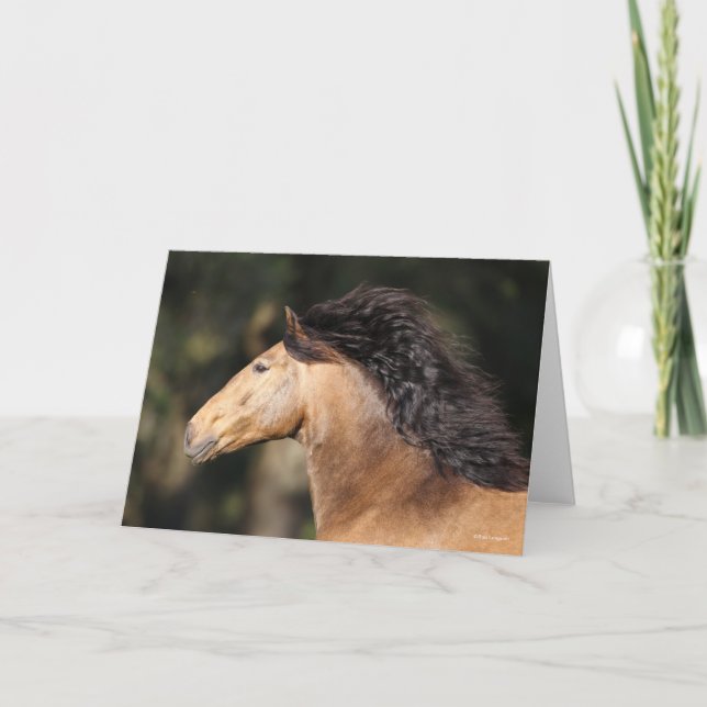 Bob Langrish | Lusitano Headshot Mane Flowing Card (Front)