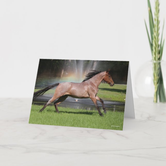 Bob Langrish | Mangalarga Horse Running Rainbow Card (Front)